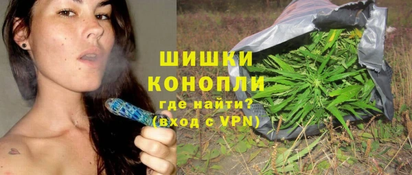 дурь Алзамай